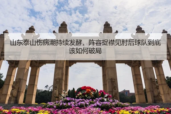 山东泰山伤病潮持续发酵，阵容捉襟见肘后球队到底该如何破局